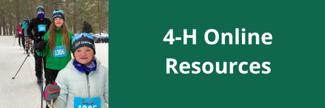 4-H Online Resources Link