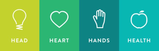 Graphic showing the four H's: Head, Heart, Hands, Health