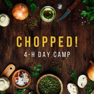 CHOPPED! 4-H Day Camp Registration is OPEN!