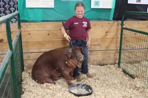 2023-2024 Iron County 4-H Members and Leaders Recognized