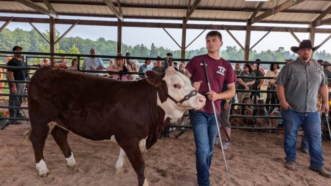 2024-2025 Iron County 4-H Members and Leaders Recognized